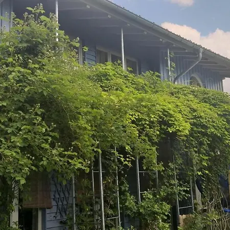 Bei Ludwig * Oberstaufen